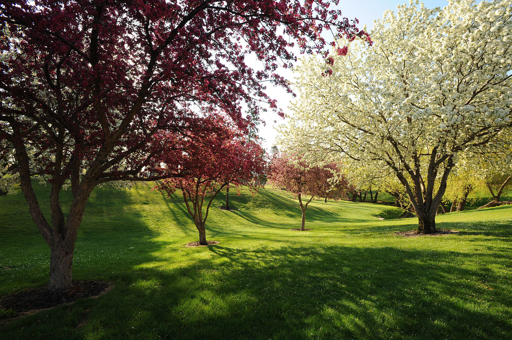 Best Park - Pioneer Park